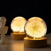 DESHINTKE Dandelion Glowing Crystal Ball Eternal Flower Paperweight