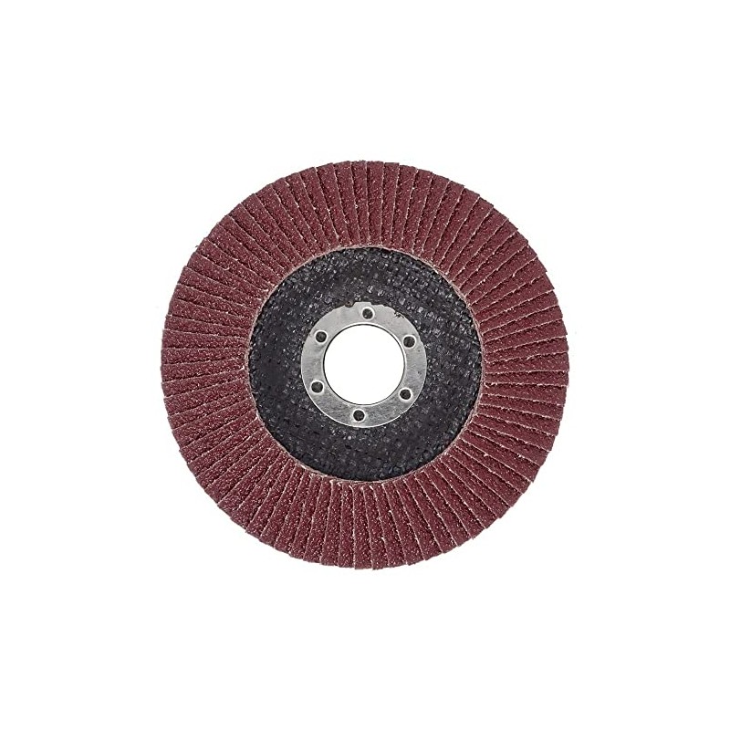 Pack of 10 flap washers, diameter 125 mm x 22.23