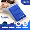 WORLD-BIO Large Flexible Hip Ice Pack 2 packs for Injuries,