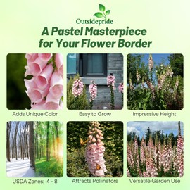 Outsidepride Digitalis Purpurea Apricot Beauty Foxglove Seeds – 5000 Pcs Biennial, Prolific, Tall Growing Flower Seeds with Pollinator-Friendly Blooms for Shaded Gardens & Outdoor Landscapes