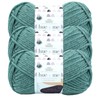 Lion Brand (3 Pack) Lion Brand Yarn 617-173Z Two of