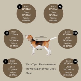 Aimydog Dog Recovery Sleeve with Elbow Protector, Recovery Suit for Dog Front Legs, Pet Long Sleeve Suit to Stop Licking, Soft Breathable Cone Collar Alternative for Male Female, Beige, 2XL