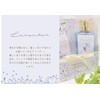 Cozy Company 172524 Hand Cream Special Set Lavender W 6.7