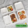 100 Pack 8×9 Inch 3-Compartment Compostable Bagasse Food Containers
