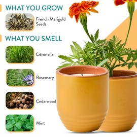 Modern Sprout Garden Vibes 2-in-1 Soy Candle & Planter Set - Patio Goals 3-Pack (Bug-Repelling Citronella, Rosemary, Cedarwood, Mint) 6 Oz Outdoor Scented Candles with Marigold Seeds - 38–40 Hour Burn