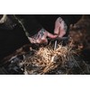 Forest Fundamentals™ Hive Fire Starter™ & Stealth Striker | Hexagonal