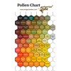 500 g Raw Bee Pollen Wildflowers and Forest Herbs, Unheated,