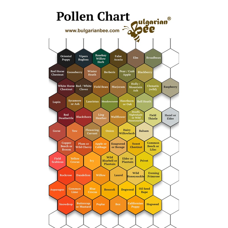 500 g Raw Bee Pollen Wildflowers and Forest Herbs, Unheated,