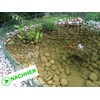 Algenkiller Protect®, algae killer for garden and swimming ponds