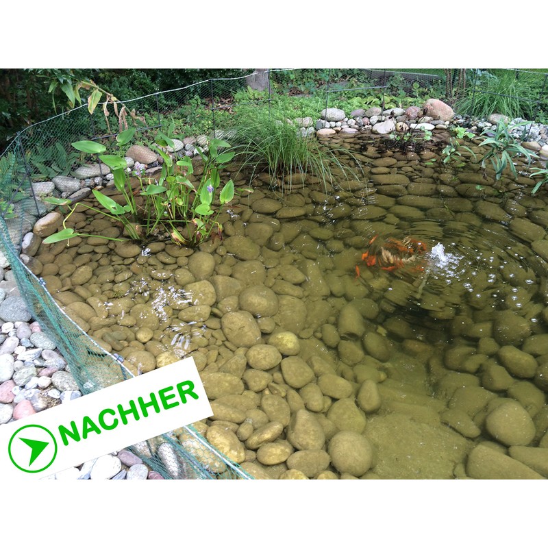 Algenkiller Protect®, algae killer for garden and swimming ponds