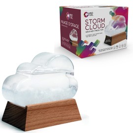 Weather Predicting Storm Cloud Glass Decorative with wooden base