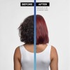 Clairol Nice N Easy Permanent Bold Zero Ammonia Hair Dye