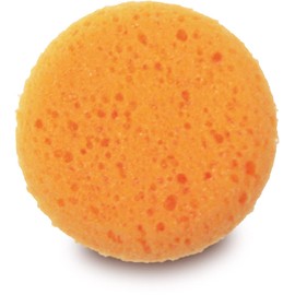 Paint Brush / Sponge