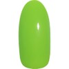 PRE GEL PGU-M1012 PREGEL Muse Color Gel, Field Green, 0.1