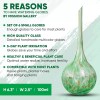 Mission Gallery Set Of 6 Small Glass Watering Globes For