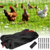 Bird Protection Net, Narrow Mesh Bird Nets 8 x 8