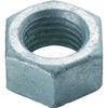 TRUSCO B624-0012 Hex Nuts, Hot-Dip Galvanized, Size M12 x 1.75,