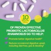 Amerifit Culturelle Digestive, Capsules, 30-Count