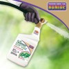 Bonide All Seasons Horticultural & Dormant Spray Oil, 32 oz