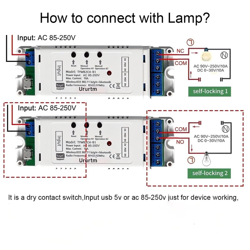 Ururtm 2CH WiFi Smart Relay Switch Module for Alexa,Tuya, smart