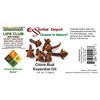 Essential Depot Clove Bud Essential Oil - 4 oz -