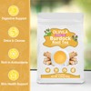 Olvvla - Premium Burdock Root Tea - 2.5g X 60