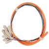 Fiber Optic Cable 1 Meter 12 Strand Multimode Low Insertion