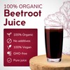 Organic Beetroot Juice Box 101.4 Fl Oz | Pure Beet