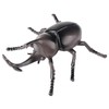 AENIMELY Large Rhinoceros Beetle Figurine – Hollow Realistic Insect Bug
