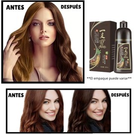 Shampoo Tinte Instantaneo Para Cabello Cubre Canas Jengibre - Champú Instant Hair Color Para Teñir El Cabello 3 En 1 Coloración Al Instante Con Hierbas Unisex, Para Hombre y Mujer (Castaño, 650ML)