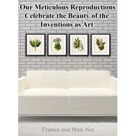 Lone Star Art Vintage Botanical Prints Set of 4 (8x10) Unframed Plant Wall Art Greenery Decor