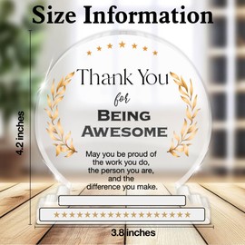 Thank You Gifts for Employees Appreciation Gift Leaving Goodbye Gifts for Coworkers Colleagues Thank You for Being Awesome Clear Desk Decorative Sign May You Be Proud Acrylic Sign Office Decor
