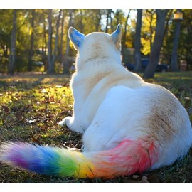 Jim&Gloria Washable Pet Fur Paint Dye For Your Pets Temporary Colors Hair Painting Pens Grooming Boy And Girl Dog Accessories Kit Farm Animal Marking Markers For Cattle Horses Livestock – Set of 12