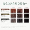 RISHIRIA Furel (リシリアフレル) Color Shampoo (Natural Black) Refill Pouch 240ml