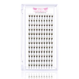 Pre Made Fan Eyelash Extensions 3D-D-0.10-12 Pointy Base Premade Fans Eyelash Extension 0.05 0.07 0.10 Lash Extensions Pre Fanned Russian Volume Lashes C D curl(3D-D-0.10-12)