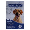 Bayer Advantage II Topical Flea Treatment for Dogs over 55 Lbs (6 Applications)