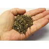 Earthcare Seeds Butterfly Garden Flower Seeds 1,000 Seeds - Heirloom