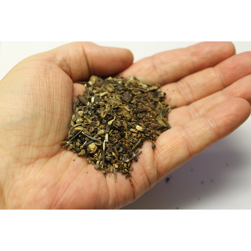 Earthcare Seeds Butterfly Garden Flower Seeds 1,000 Seeds - Heirloom