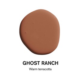 BACKDROP | Premium Interior Paint | Standard Semi Matte, Low Sheen Finish | Self-Priming, Low VOC, Green Wise Certified | GHOST RANCH – Warm terracotta | 0.5 Gallon