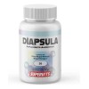 Supervits Diapsula Reduce Niveles De Azucar 30 Caps Sfn2pack