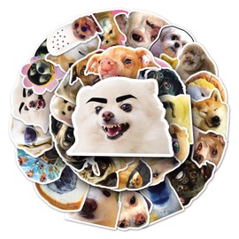 Meme Dog Stickers for Laptop (50 PCS),Gift for Children Teens Adults Girl Boys,Waterproof Stickers for Water Bottle,Dog Vinyl Stickers for Scrapbook,Skateboard,Bike,Phone,Dairy