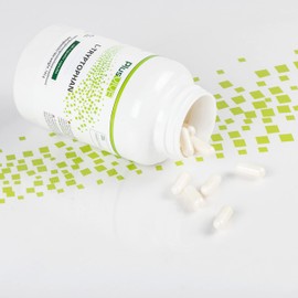 Plusvive L-Tryptophan 240 Capsules - High Dose with 500 mg L-Tryptophan per Capsule - Laboratory Tested and Vegan