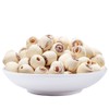 Dried Lotus Seeds 17.63 Ounce 500g