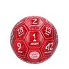 FC Bayern München Ball | Football | Signature 2024-25 |