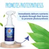 FOOP Mist - Organic Foliar Spray Made from Fish Manure