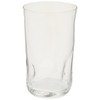 Aderia B-6892 Glass Cup Tumbler, Stebineri Fluid, 16.2 fl oz