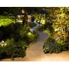 Long Life Lamp Company 2 pack Stainless Steel 12v Low