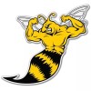 AK Wall Art Wasp Fierce Vinyl Sticker - SELECT SIZE - (A) X-Small: 2"