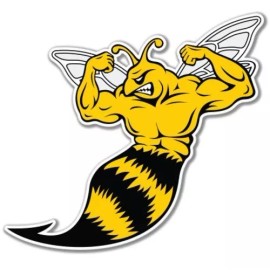 AK Wall Art Wasp Fierce Vinyl Sticker - SELECT SIZE - (A) X-Small: 2"