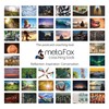 metaFox Life Design Postcards Pack 52 Cards for Coaching &